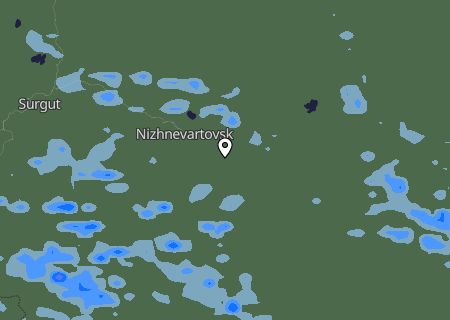 Niederschlagsprognose