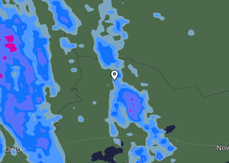 Niederschlagsprognose