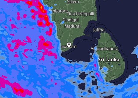 Niederschlagsprognose