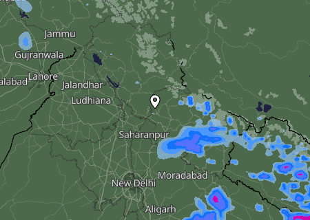 Niederschlagsprognose