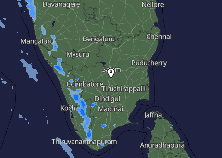 Niederschlagsprognose