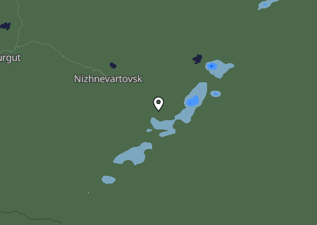 Niederschlagsprognose