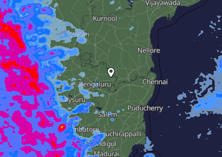 Niederschlagsprognose