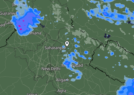 Niederschlagsprognose