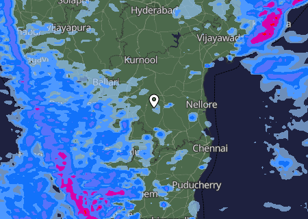 Niederschlagsprognose