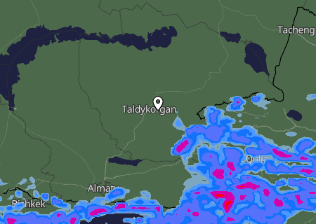 Niederschlagsprognose