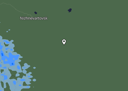 Niederschlagsprognose