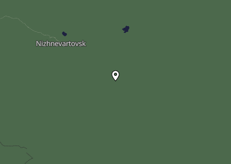 Niederschlagsprognose