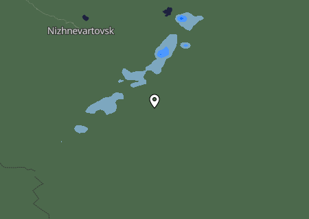 Niederschlagsprognose