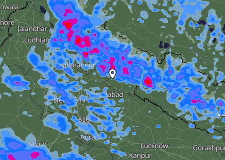 Niederschlagsprognose