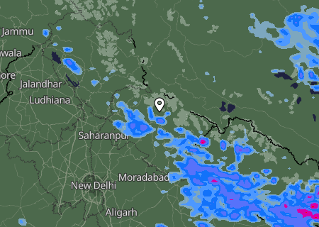 Niederschlagsprognose