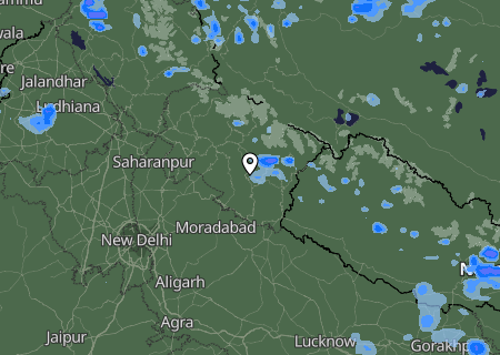 Niederschlagsprognose