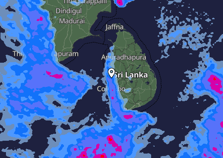 Niederschlagsprognose