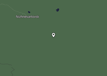 Niederschlagsprognose
