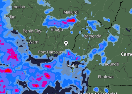 Niederschlagsprognose