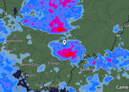 Niederschlagsprognose