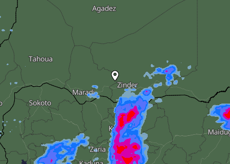 Niederschlagsprognose