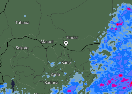 Niederschlagsprognose