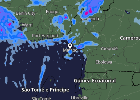 Niederschlagsprognose