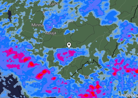 Niederschlagsprognose