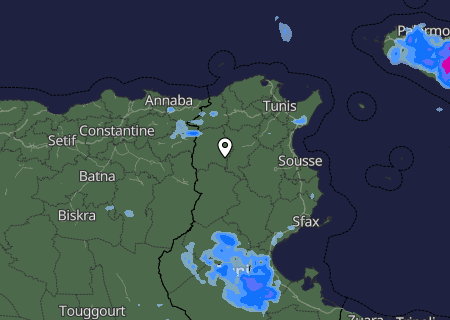 Niederschlagsprognose