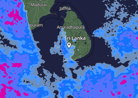 Niederschlagsprognose