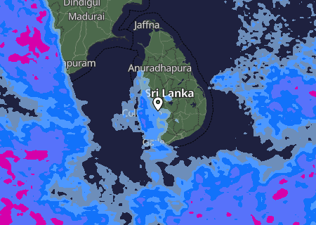 Niederschlagsprognose