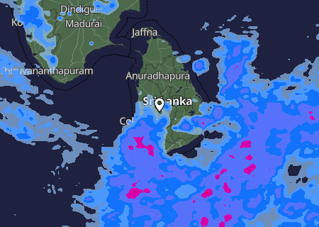 Niederschlagsprognose