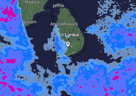 Niederschlagsprognose