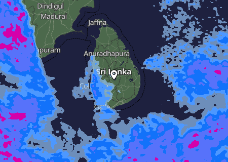 Niederschlagsprognose
