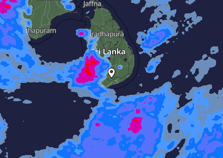 Niederschlagsprognose