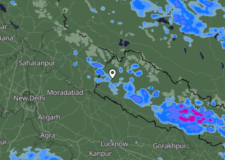 Niederschlagsprognose