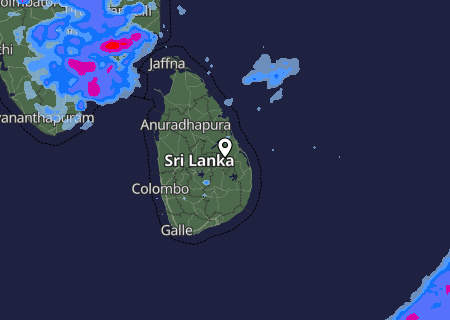 Niederschlagsprognose