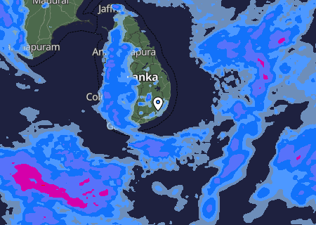 Niederschlagsprognose