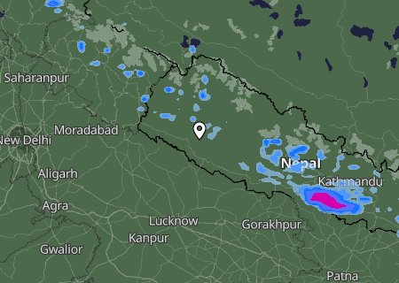 Niederschlagsprognose