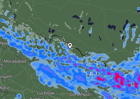 Niederschlagsprognose