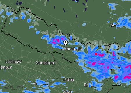 Niederschlagsprognose
