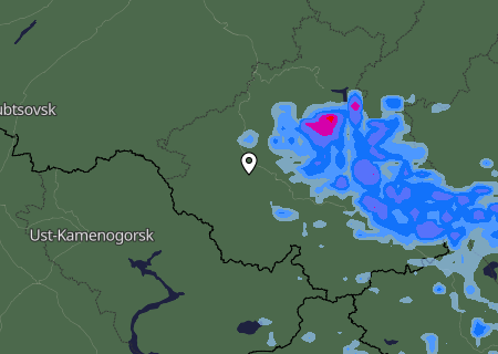 Niederschlagsprognose