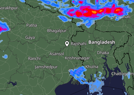 Niederschlagsprognose
