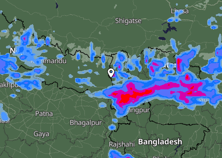 Niederschlagsprognose