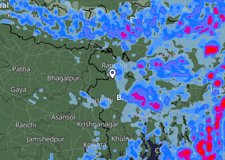 Niederschlagsprognose