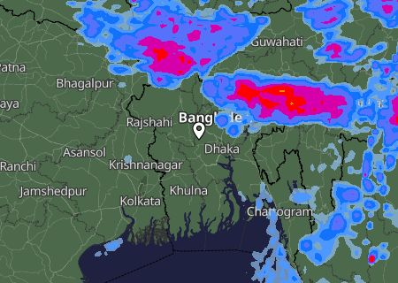 Niederschlagsprognose