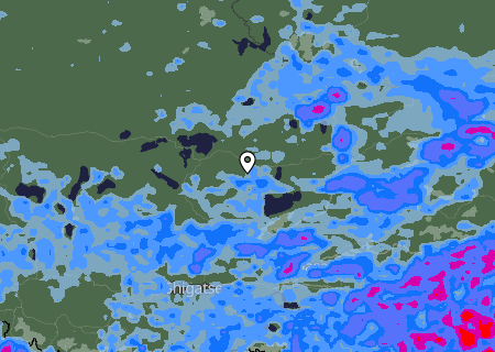 Niederschlagsprognose