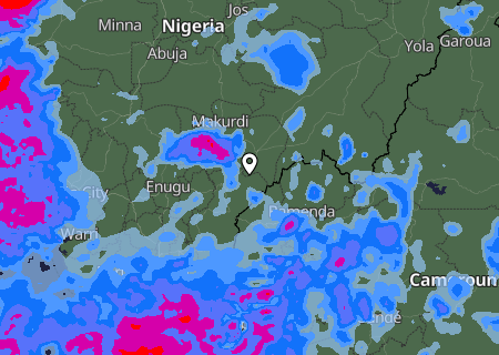 Niederschlagsprognose