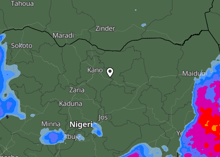 Niederschlagsprognose
