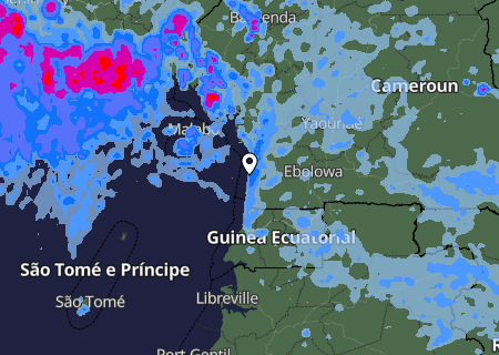 Niederschlagsprognose