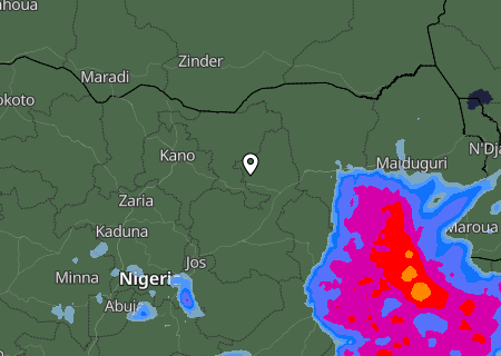 Niederschlagsprognose