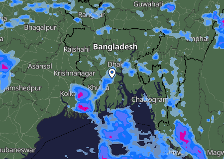 Niederschlagsprognose