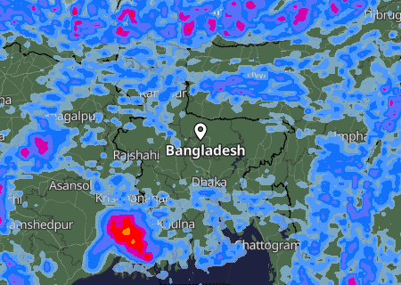 Niederschlagsprognose
