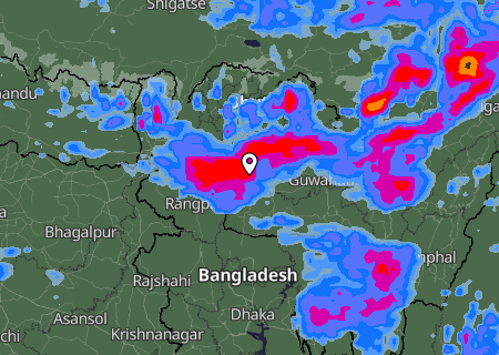 Niederschlagsprognose